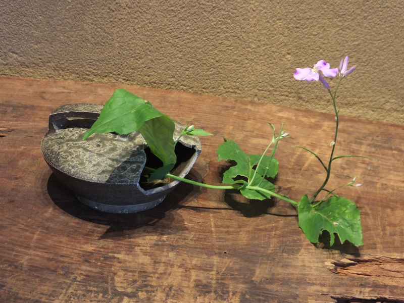 古童 - 猿投 平瓶 水滴 | 古美術品専門サイト fufufufu.com