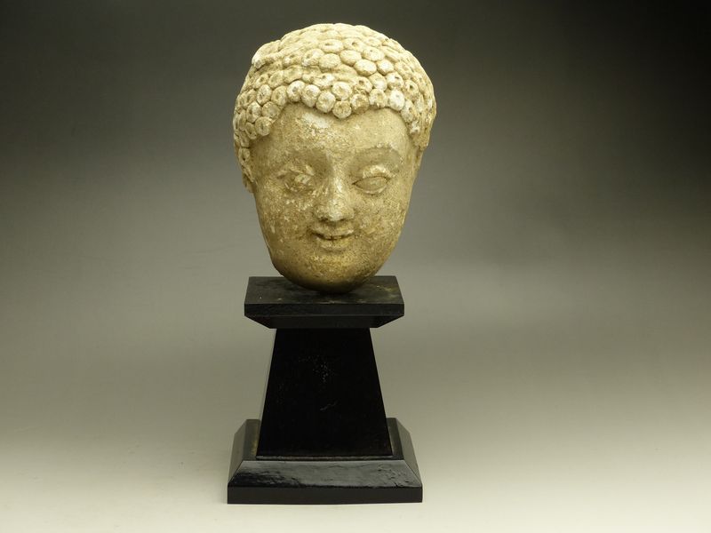 古美術 猫 - ガンダーラ ハッダ仏頭 | 古美術品専門サイト fufufufu.com