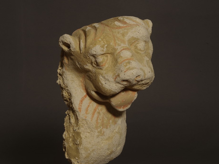 A22901 ガンダーラ ハッダ地方 ストッコ獅子像頭部残欠 ガンダーラ