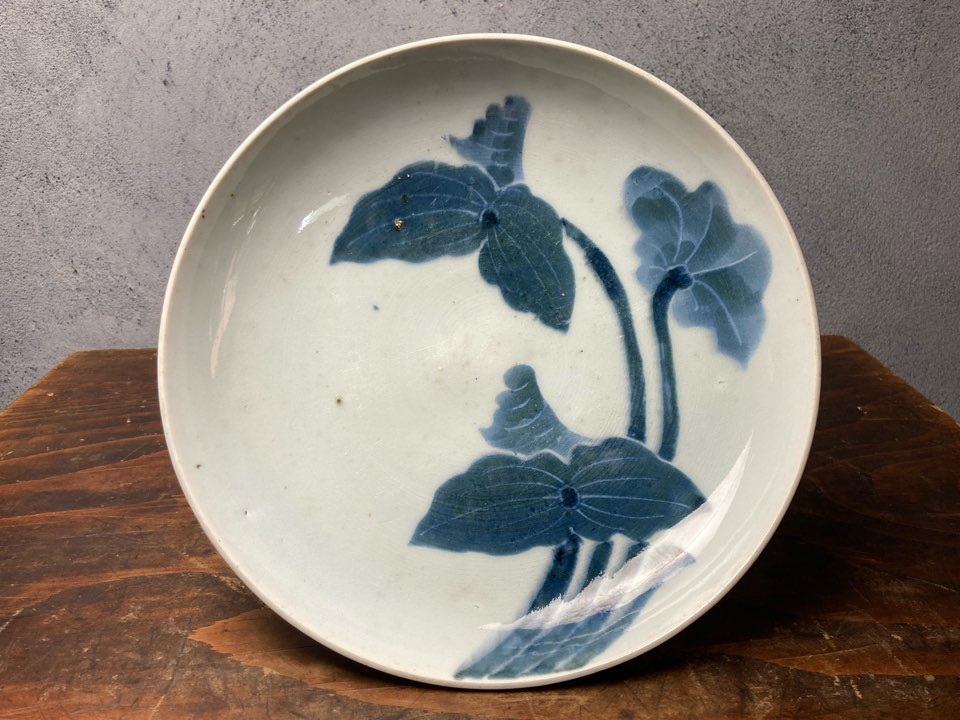 長谷雄堂 - 古伊万里蓮図中皿 | 古美術品専門サイト fufufufu.com