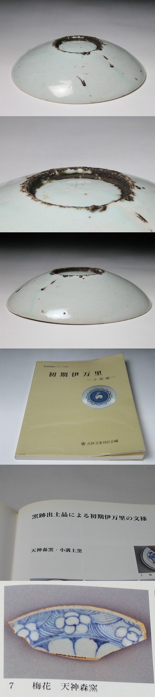 古美術 三樹 - 初期伊万里 菊梅花文皿 | 古美術品専門サイト fufufufu.com