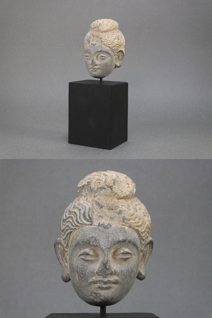 ガンダーラ美術　バラモン　彫刻　アンティーク　抽象　仏教美術　頭部 ガンダーラ美術 菩薩頭部 ハッダ