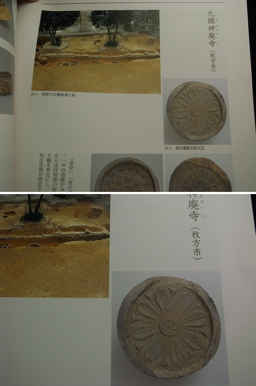 長谷雄堂 - 河内九頭神廃寺軒丸瓦 | 古美術品専門サイト fufufufu.com