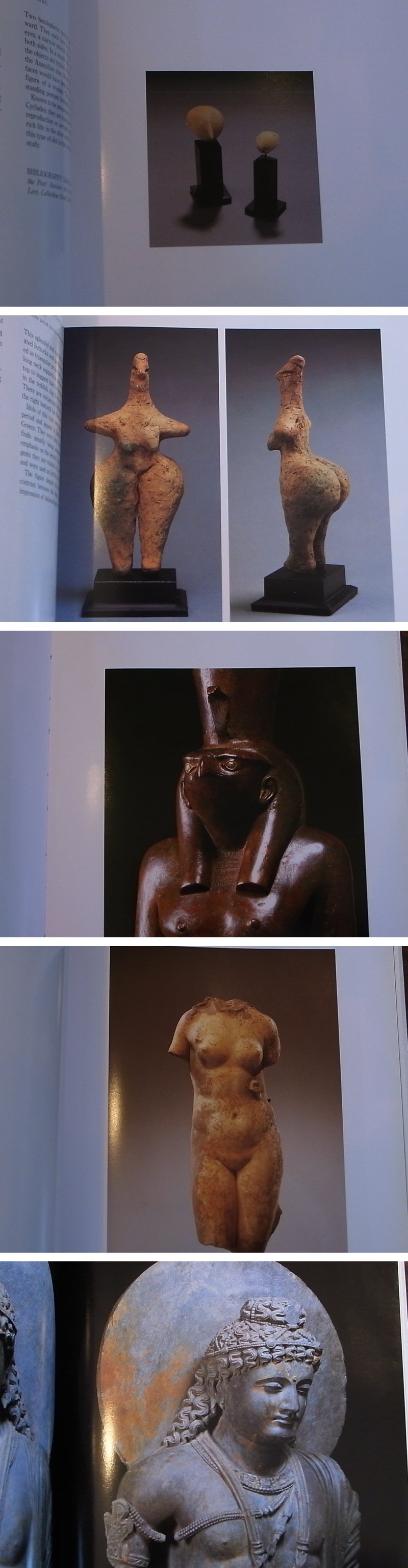 長谷雄堂 - 古代からの贈物 | 古美術品専門サイト fufufufu.com
